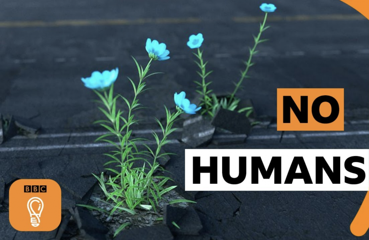 no-human